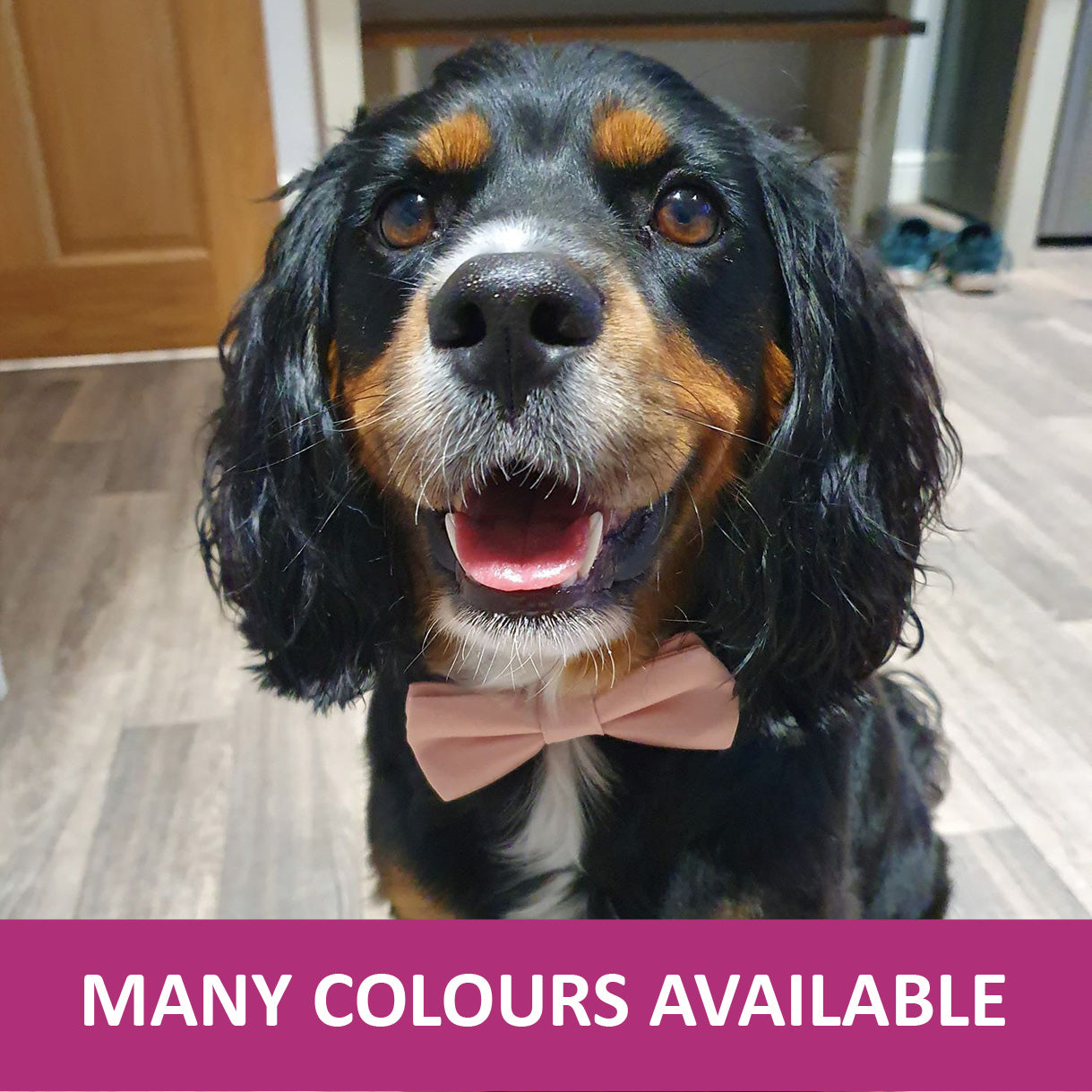 Dog Wedding Bow Tie
