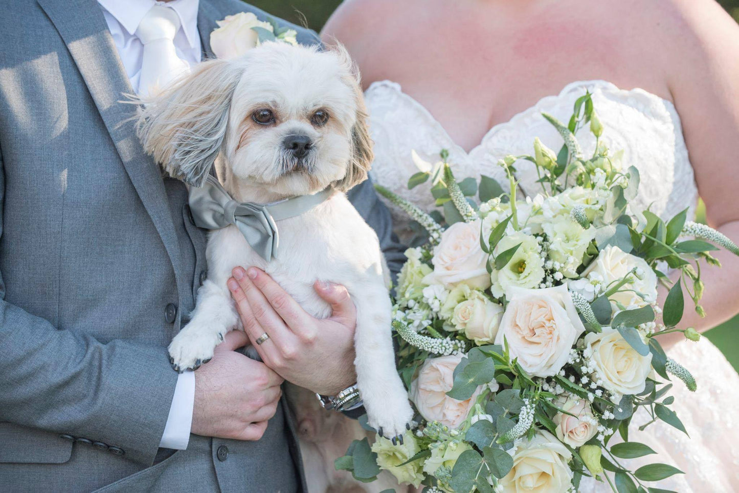 Dog Wedding Bow Tie - 