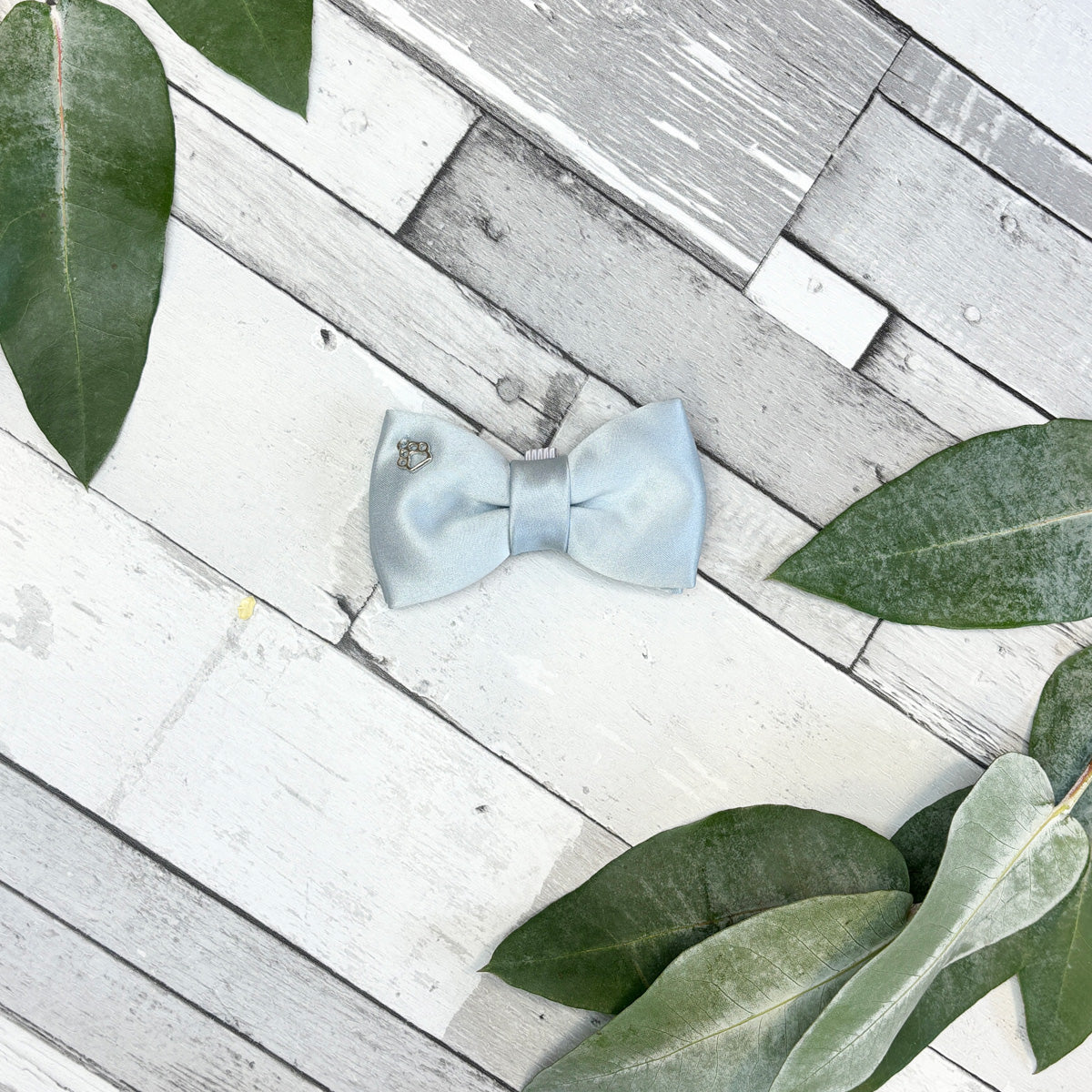 Dusty Blue Bow for dogs