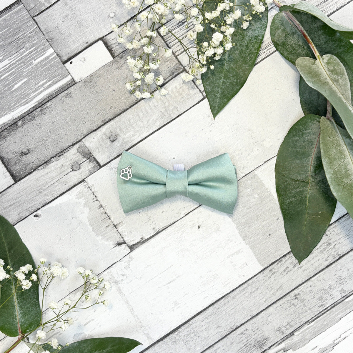 Seagrass Dog Bow Tie