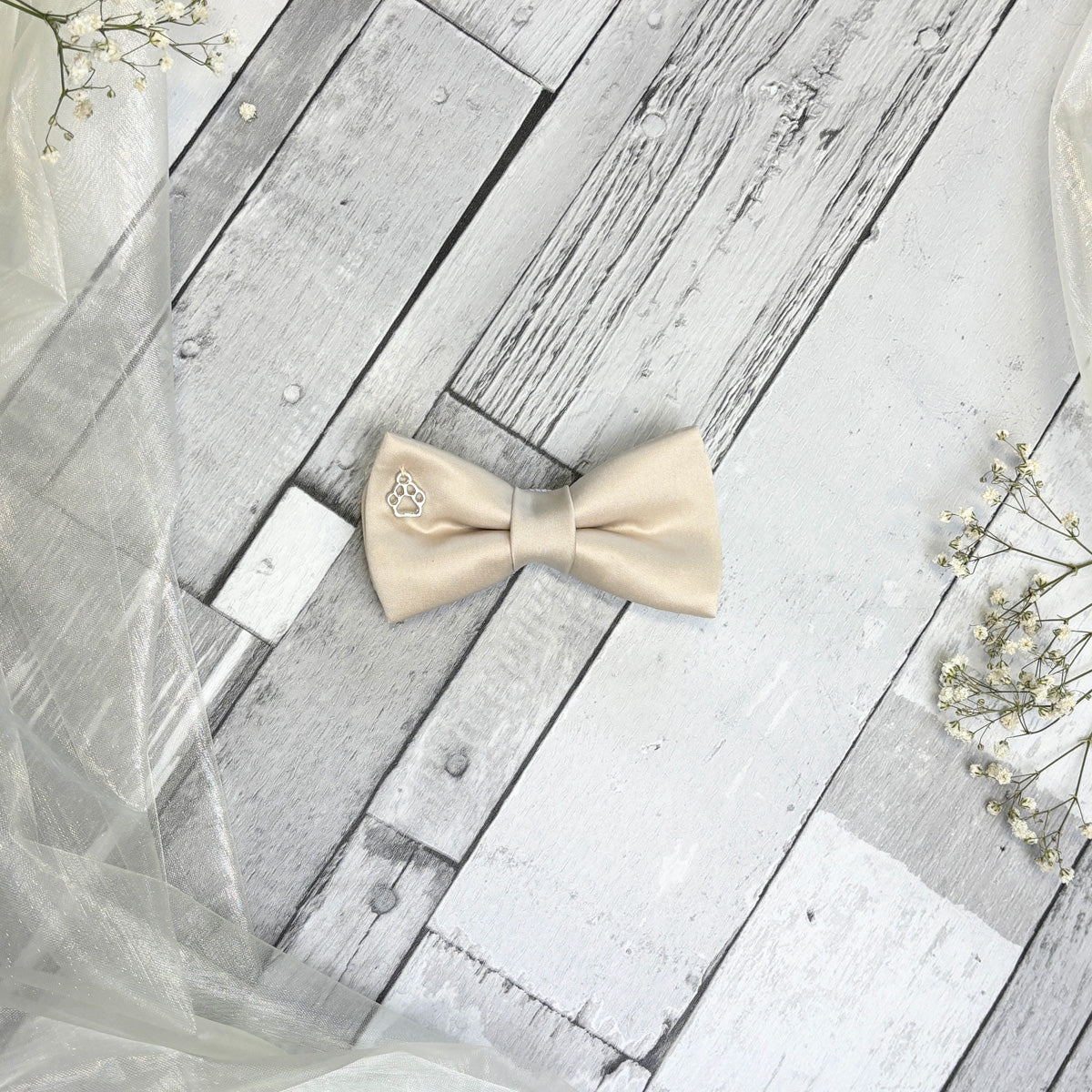 Antique Champagne Dog Bow Tie