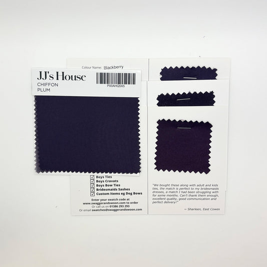 JJ's House - Plum Swatch Matches