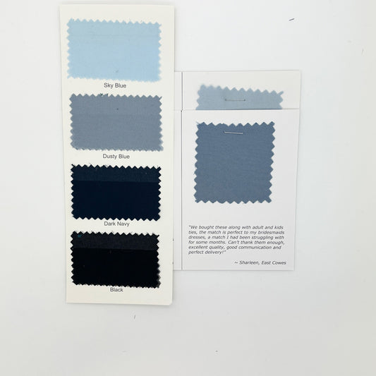 Azazie - Dusty Blue Swatch Matches