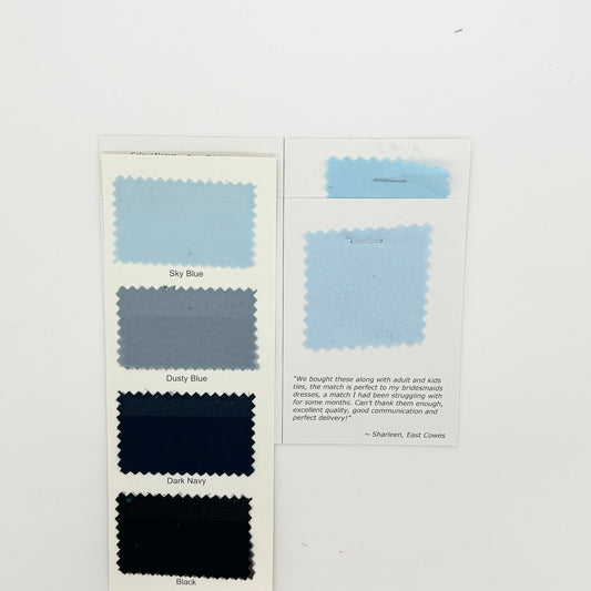 Azazie - Sky Blue Swatch Matches