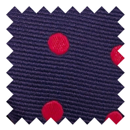 Navy & Red Spot Wedding Swatch