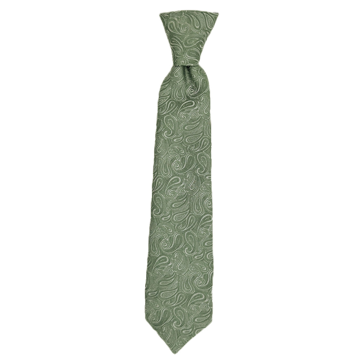 Wild Sage Paisley Boys Ties