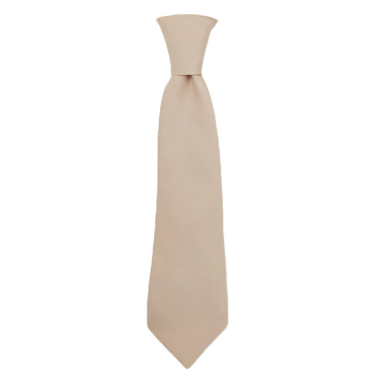 Antique Champagne Boys Ties