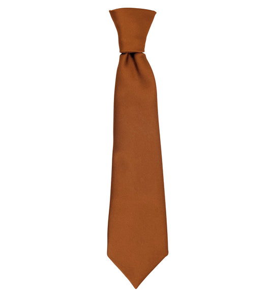 Ochre Boys Ties