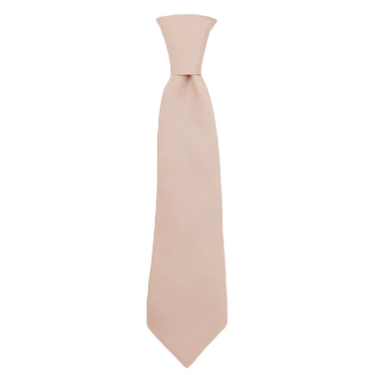 Champagne Boys Ties - Childrenswear - Elastic (Age 5 and under) - Swagger & Swoon