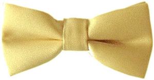CLEARANCE - Gold Boys Bow Tie - Clearance - Swagger & Swoon