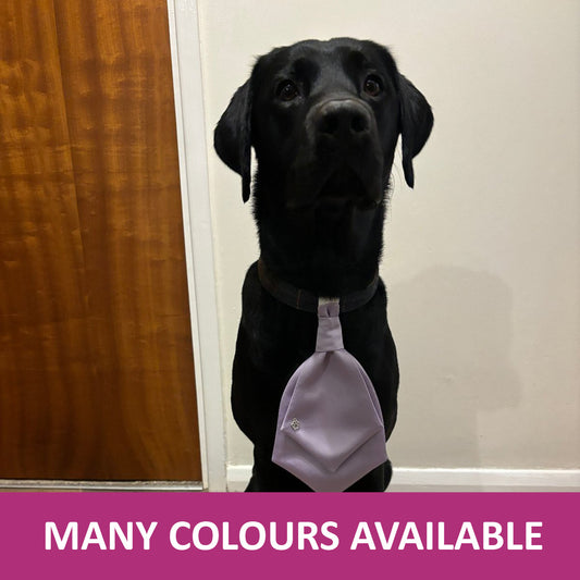 Dog Wedding Cravat