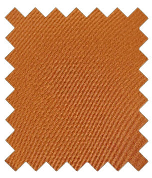 Ochre Wedding Swatch