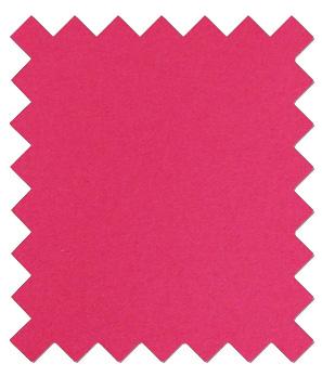 Cerise Pink Wedding Ties - Wedding Tie - Regular - Swagger & Swoon