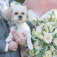 Dog Wedding Bow Tie - 