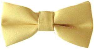 Gold Boys Bow Tie - Childrenswear