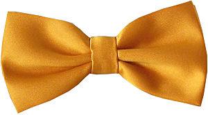 Orange Gold Bow Tie - Wedding