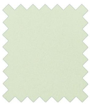 Pale Mint Wedding Swatch - Wedding